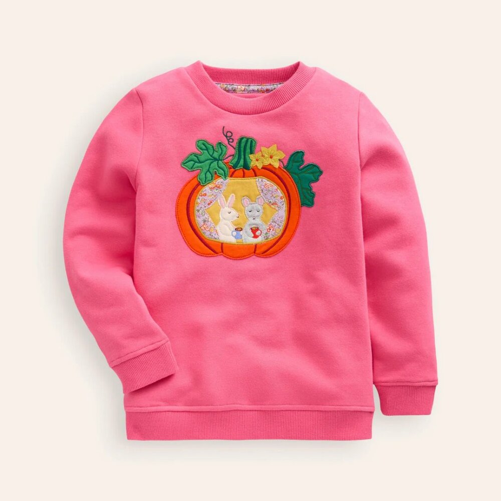 NWT Mini Boden Appliqué Sweatshirt
